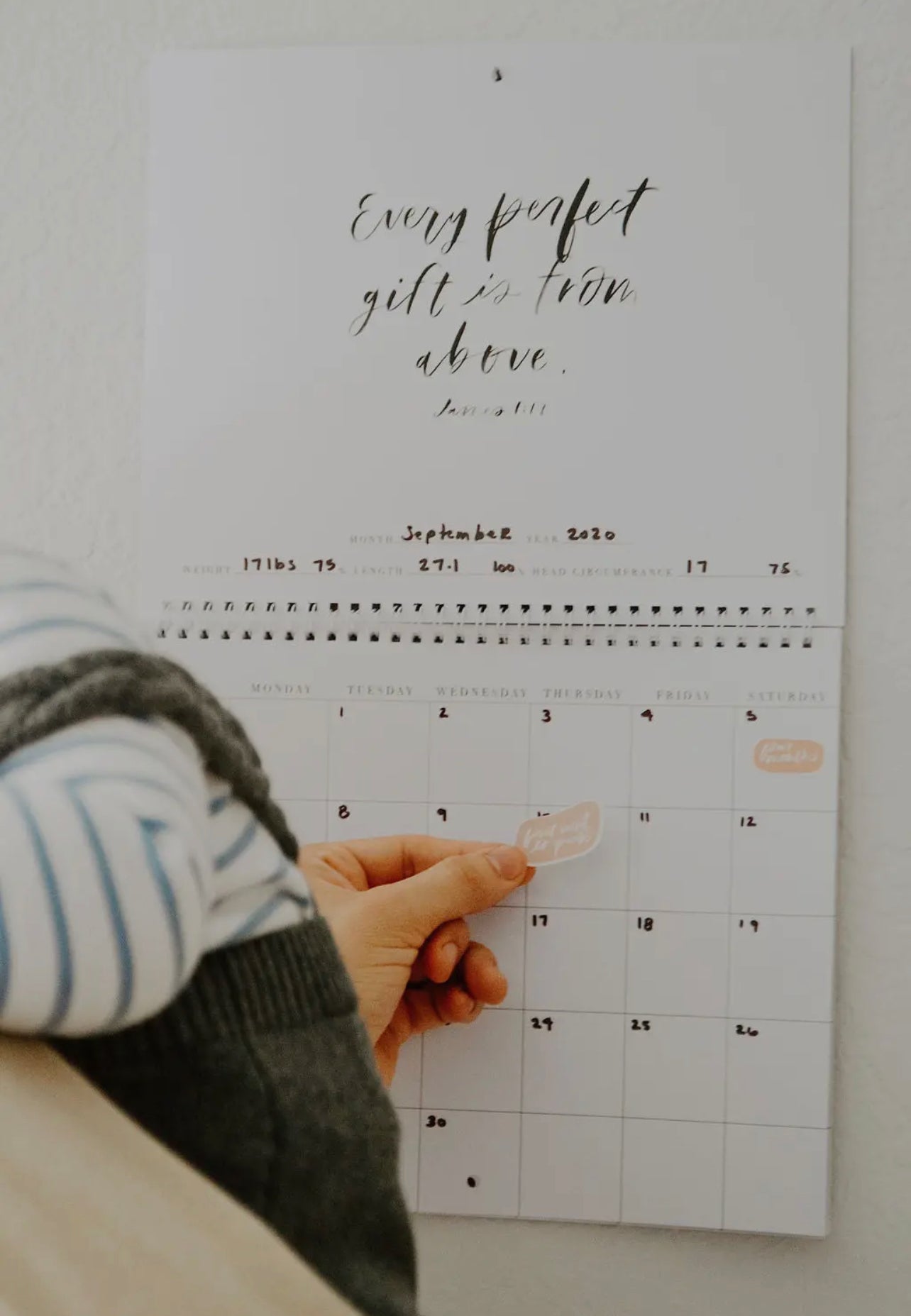 Baby Milestone Calendar