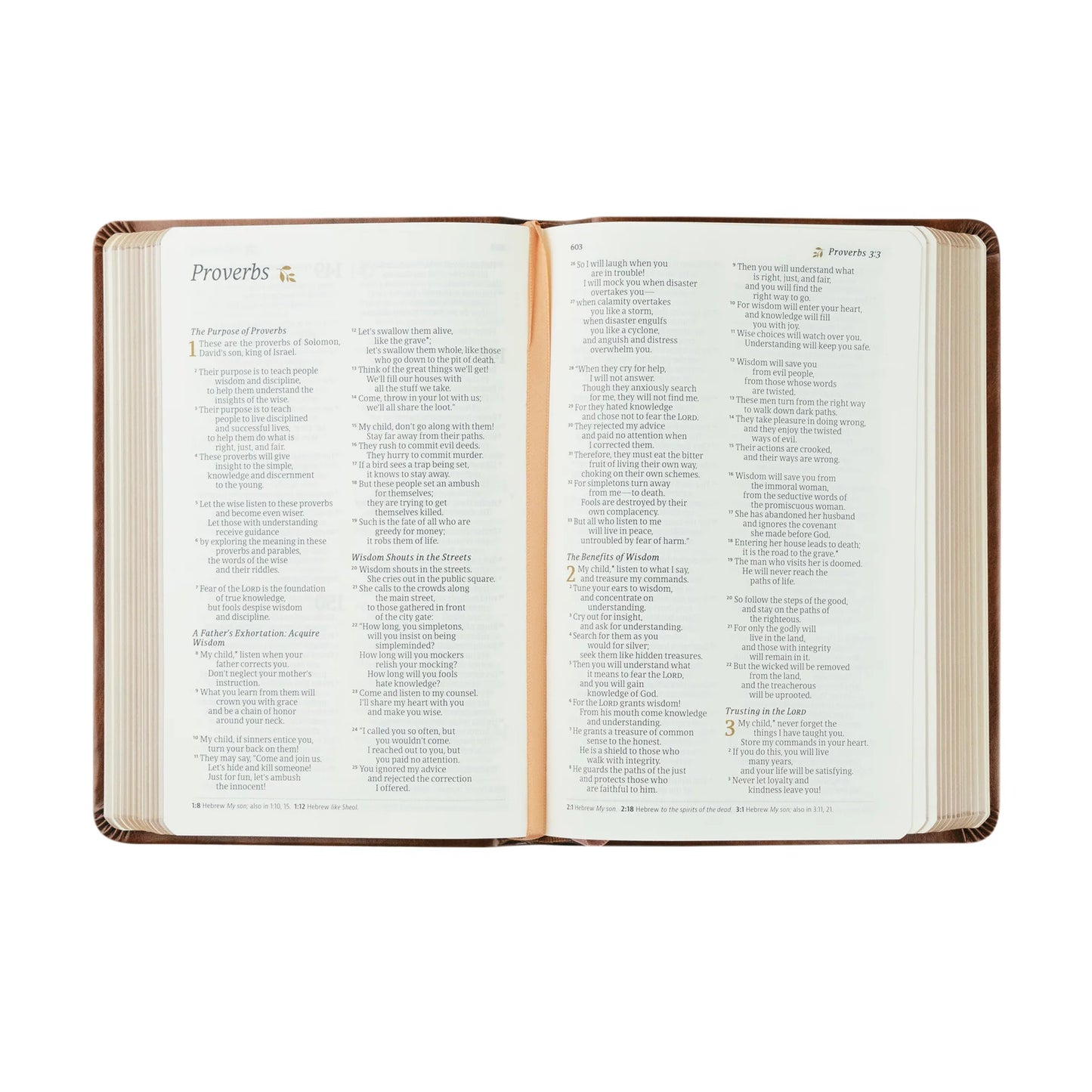 Compact NLT Notetaking Bible: Aurora Theme