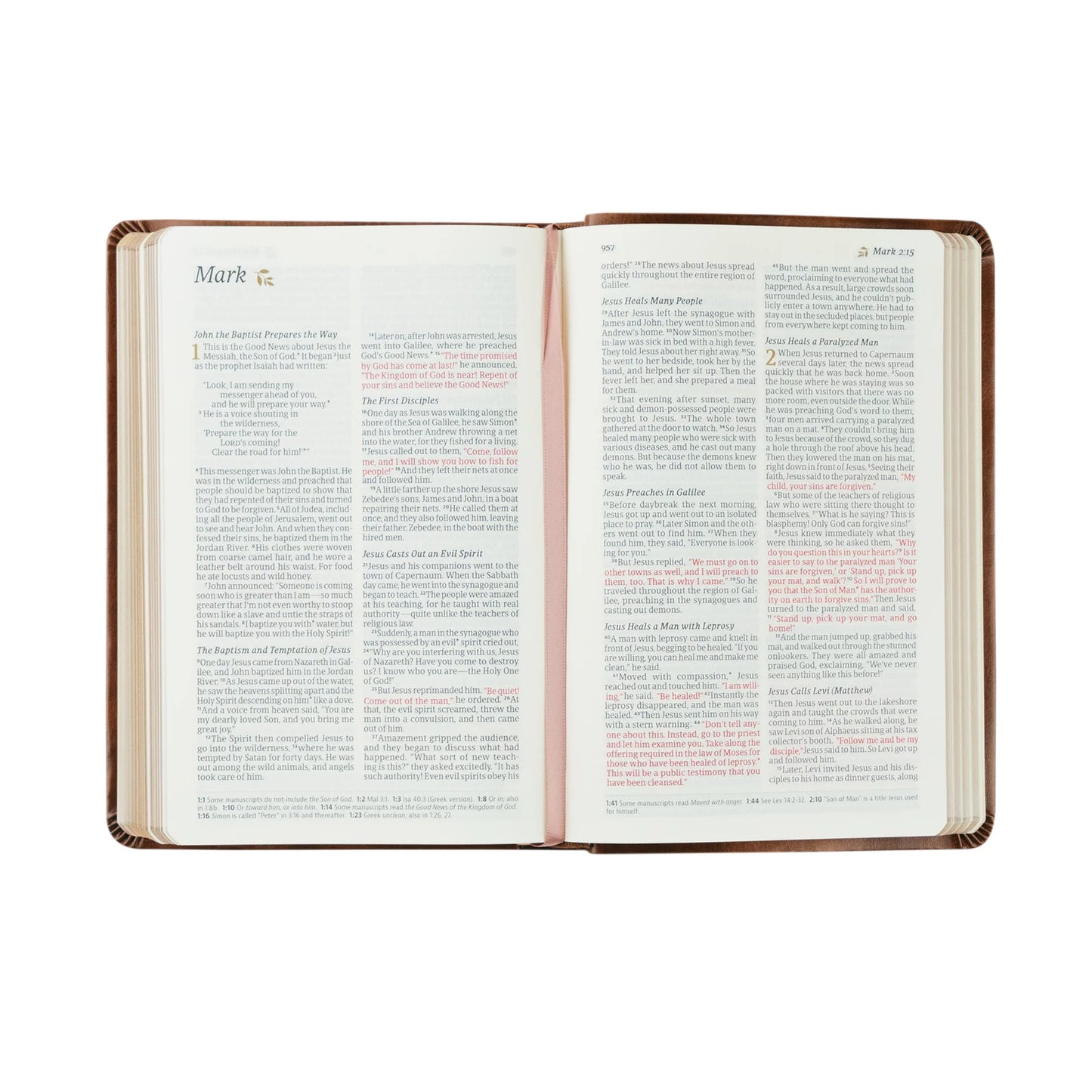 Compact NLT Notetaking Bible: Aurora Theme