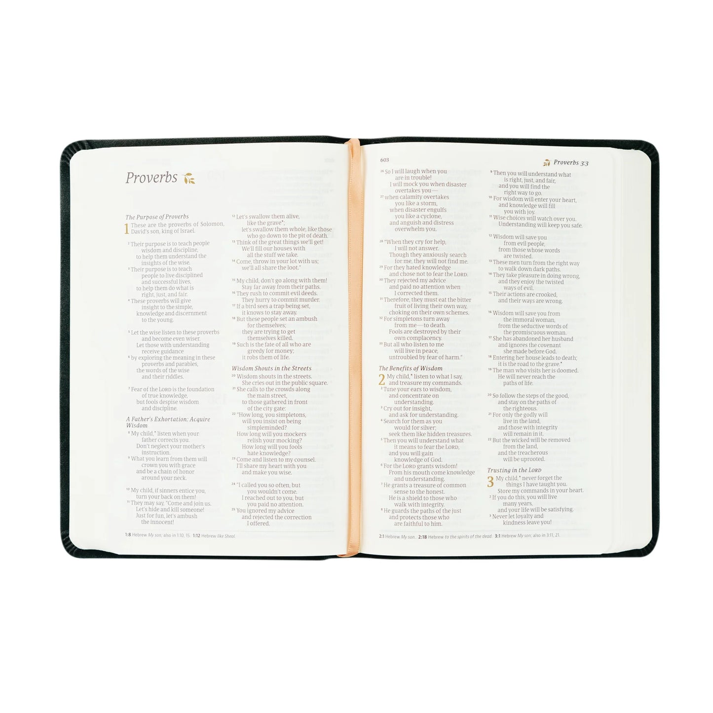 Compact NLT Bible: Jerusalem Theme