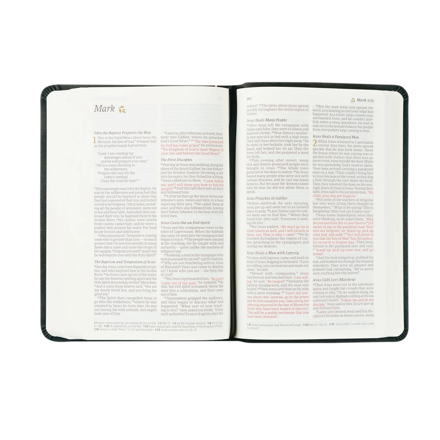 Compact NLT Bible: Jerusalem Theme