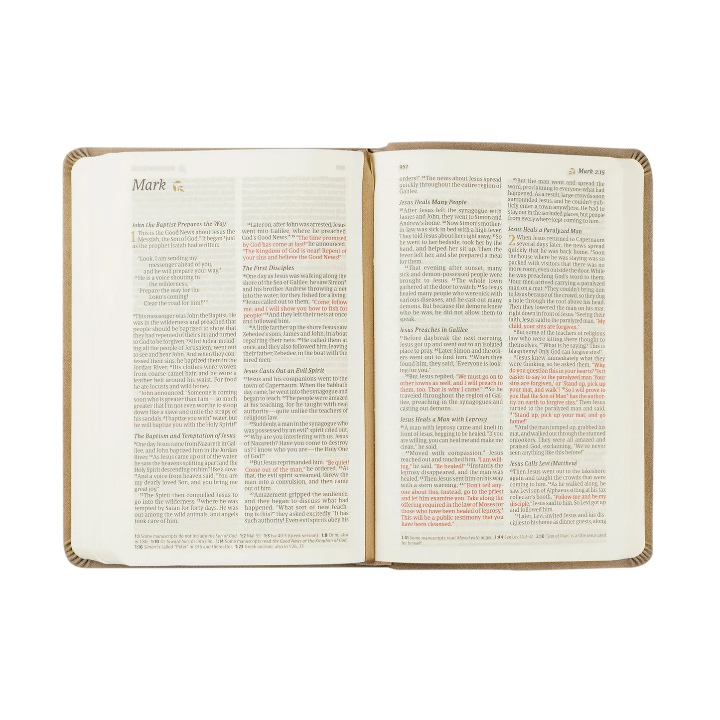 Compact NLT Bible: Marlo Theme