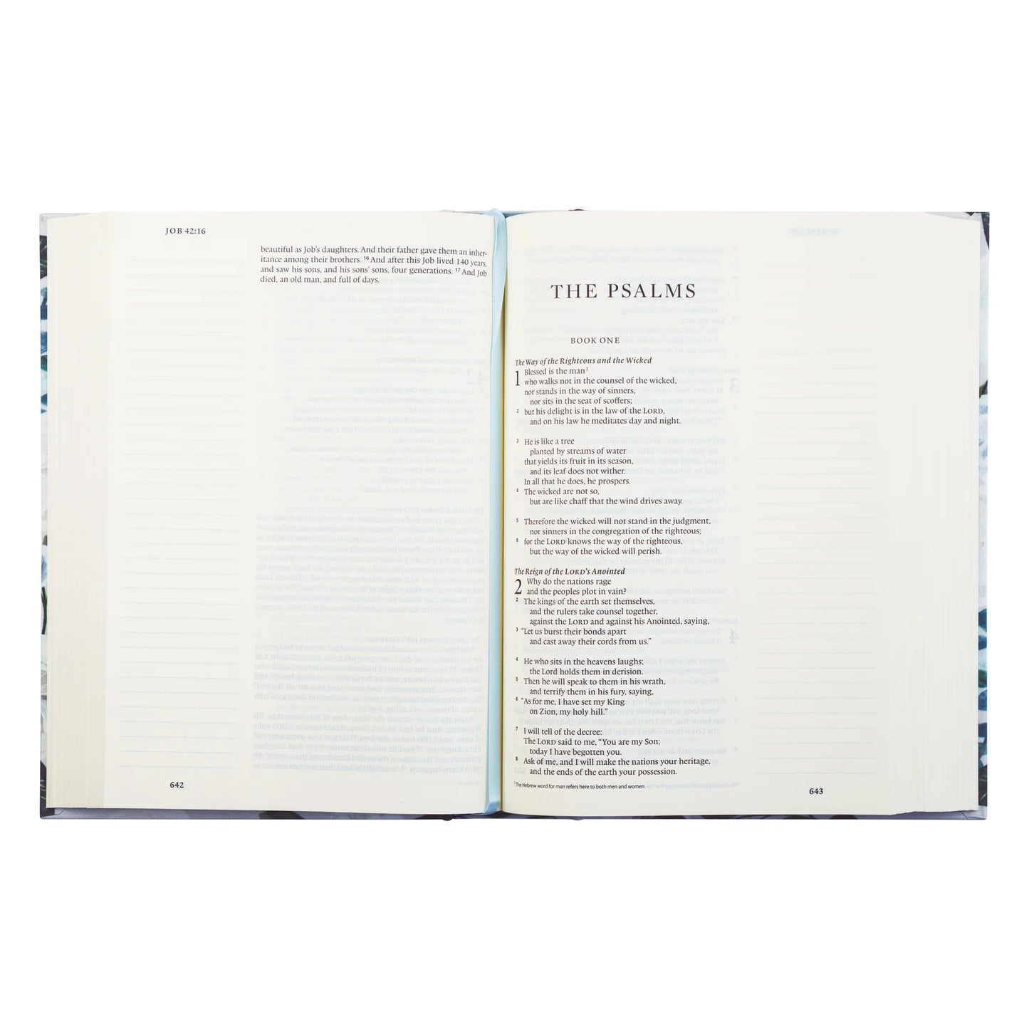 ESV Large Print Journaling Bible: Victoria