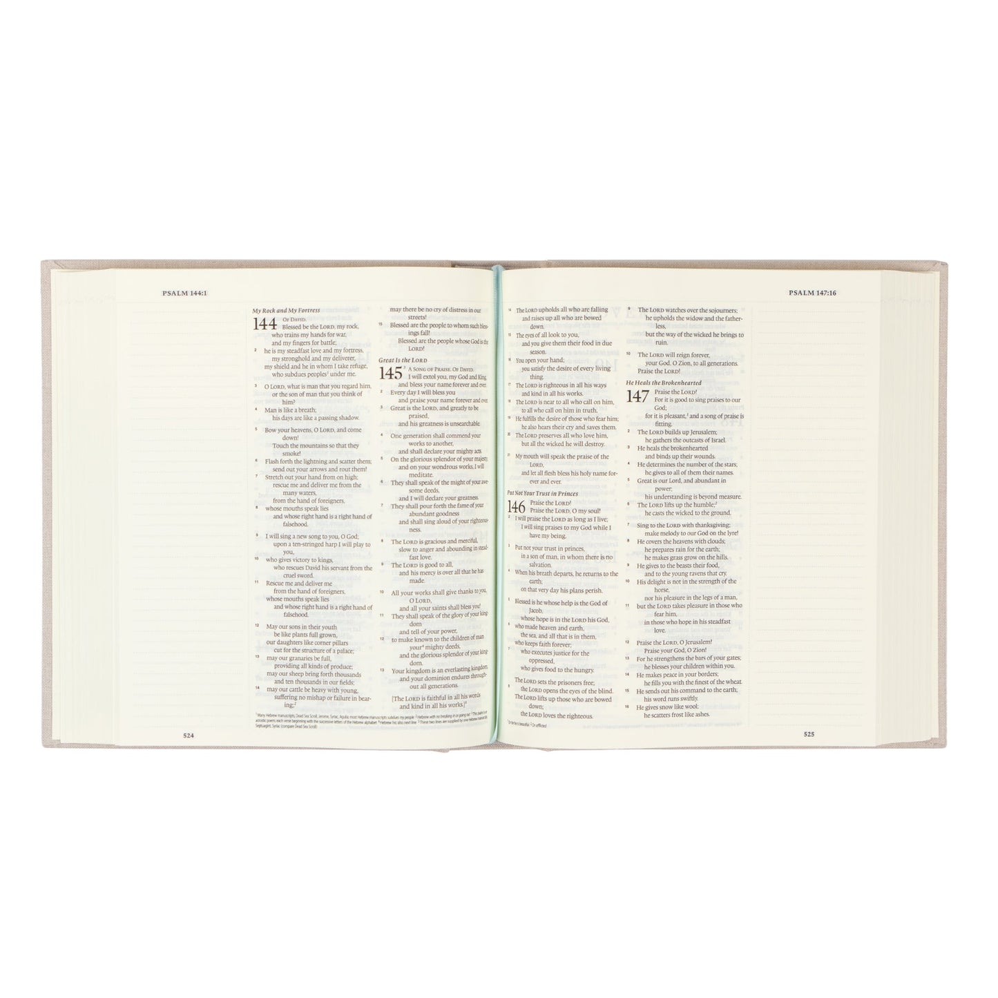 ESV Journalling Bible - Capestrano