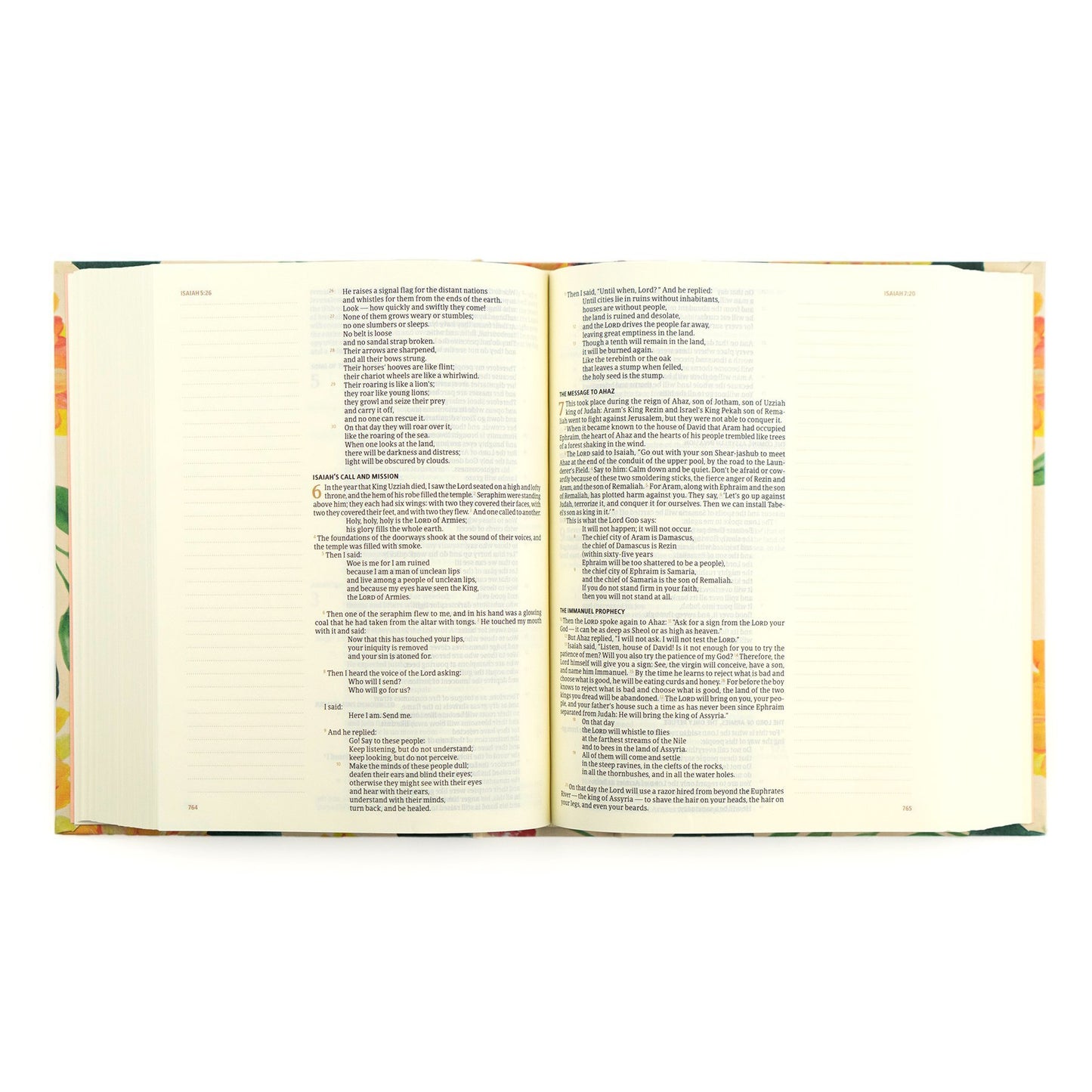 CSB Notetaking Bible - Savannah Theme