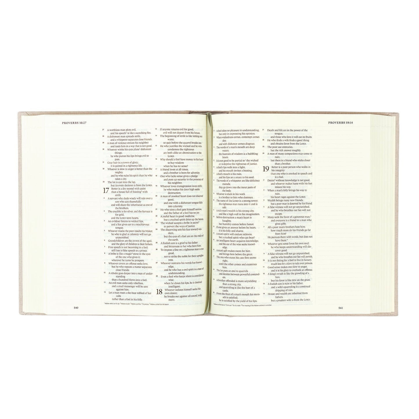 ESV Journalling Bible - Yosemite